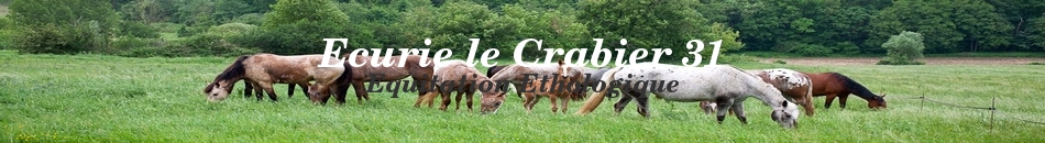 Ecurie le Crabier 31